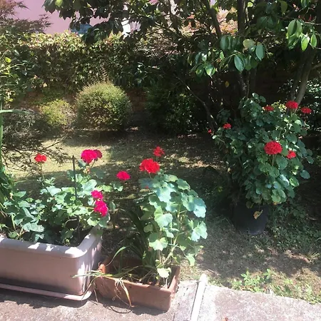 펜션 Fermete Chi! *